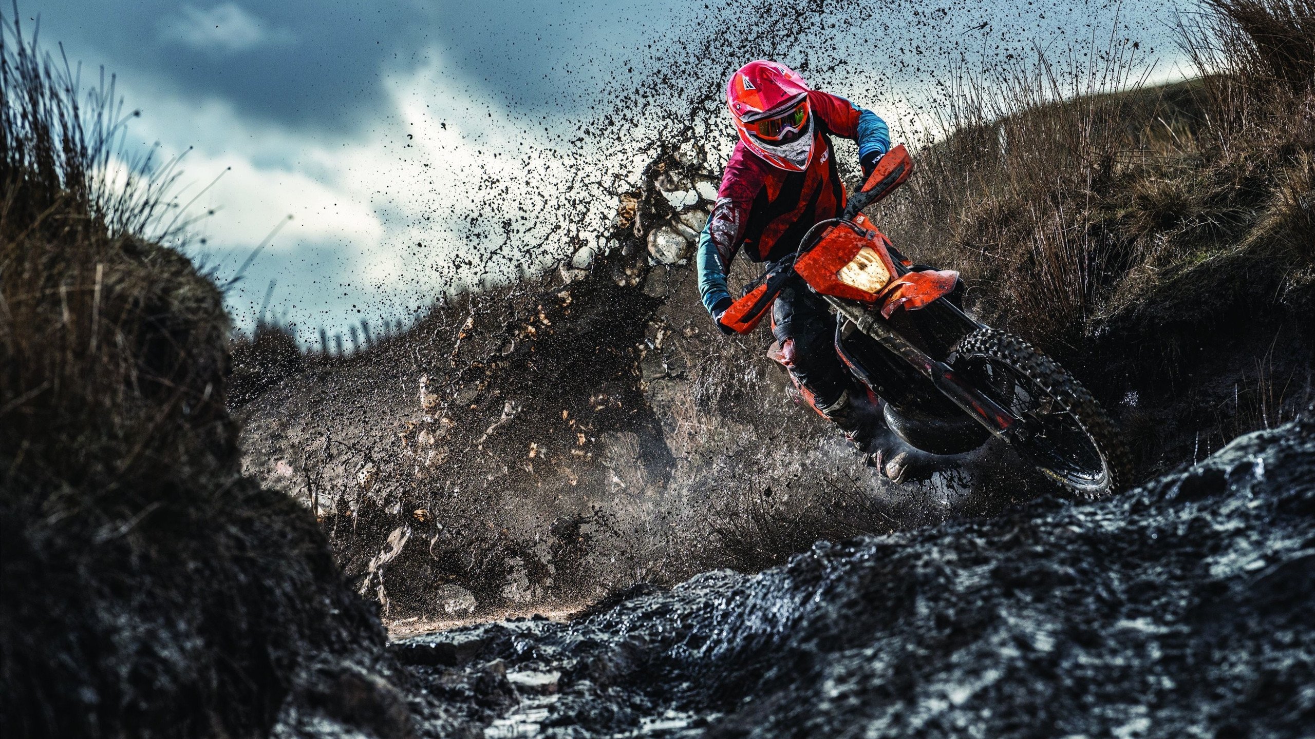 _夜空星舞跑：月色下的浪漫运动体验_，舞夜星空简介