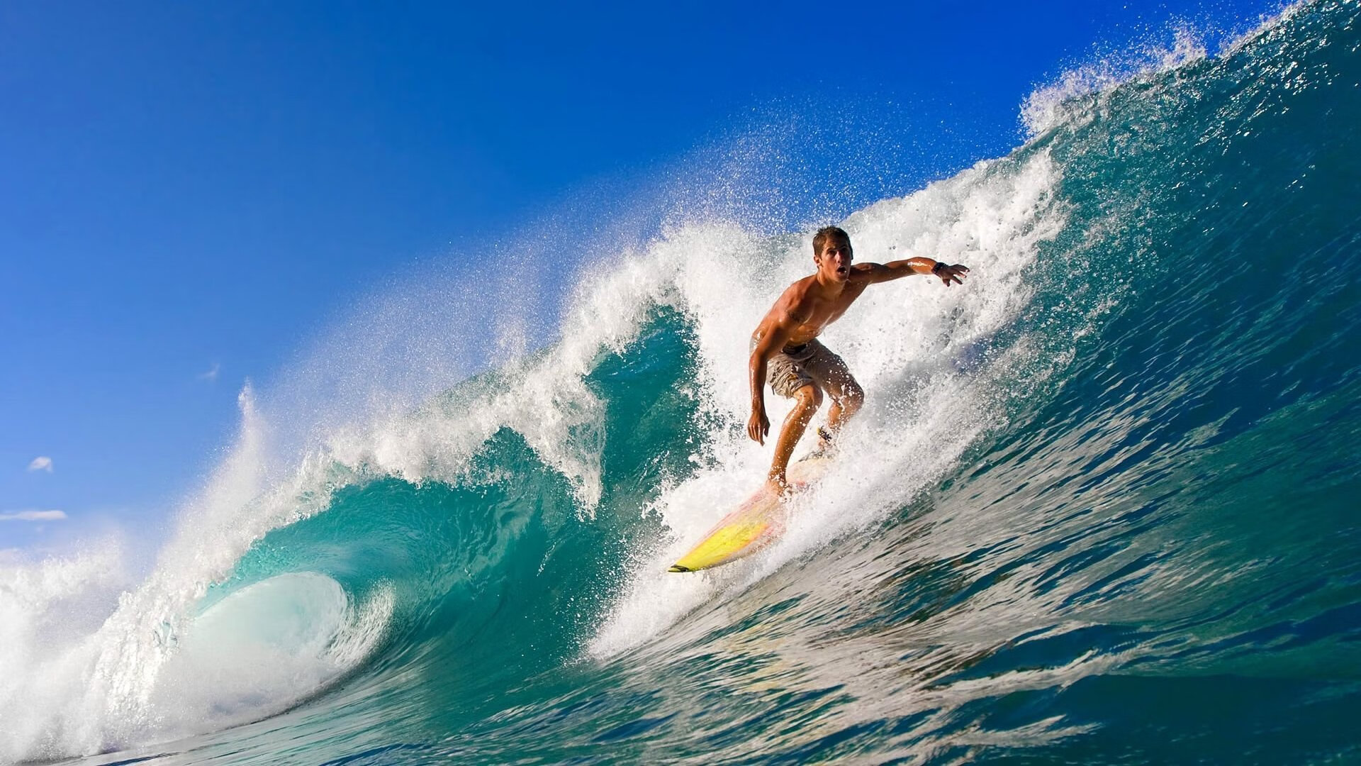 云达不莱梅奋勇前行，逐步追赶前列，云达不莱梅vs汉堡